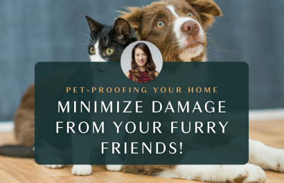 Pet-Proofing Your Home: Minimize Damage From Your Furry Friends